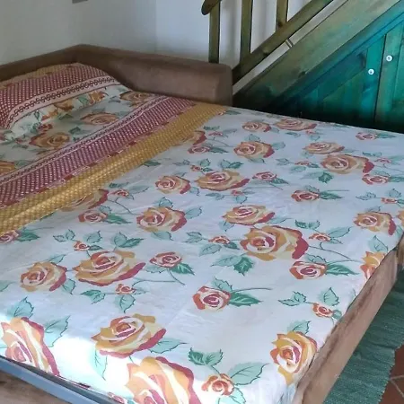 בית נופש Simone House