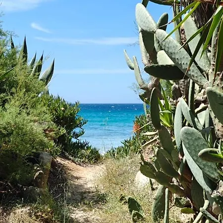 Simone House クアルトゥ・サンテーレナ